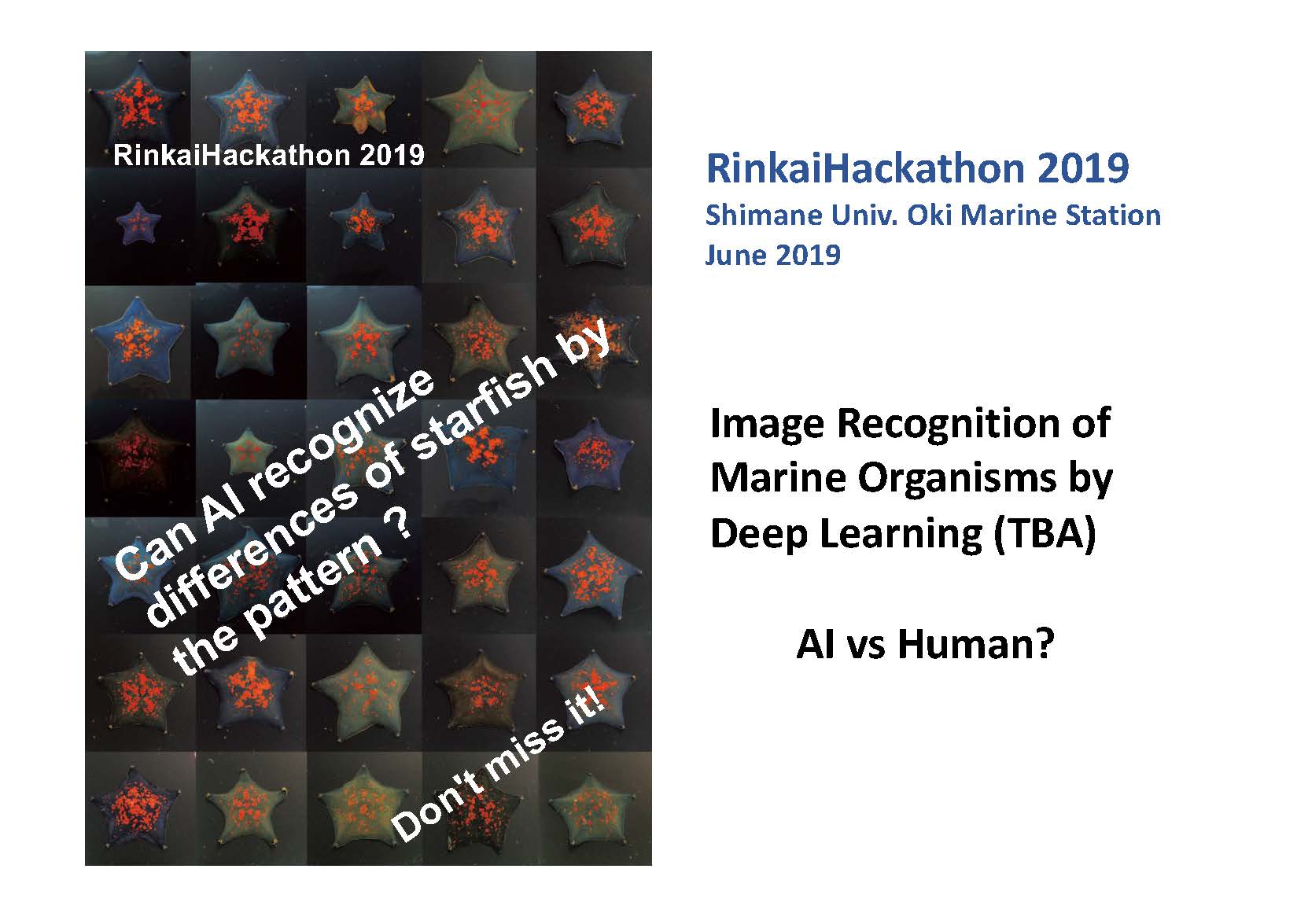 Rinkai Hackathon Information page9