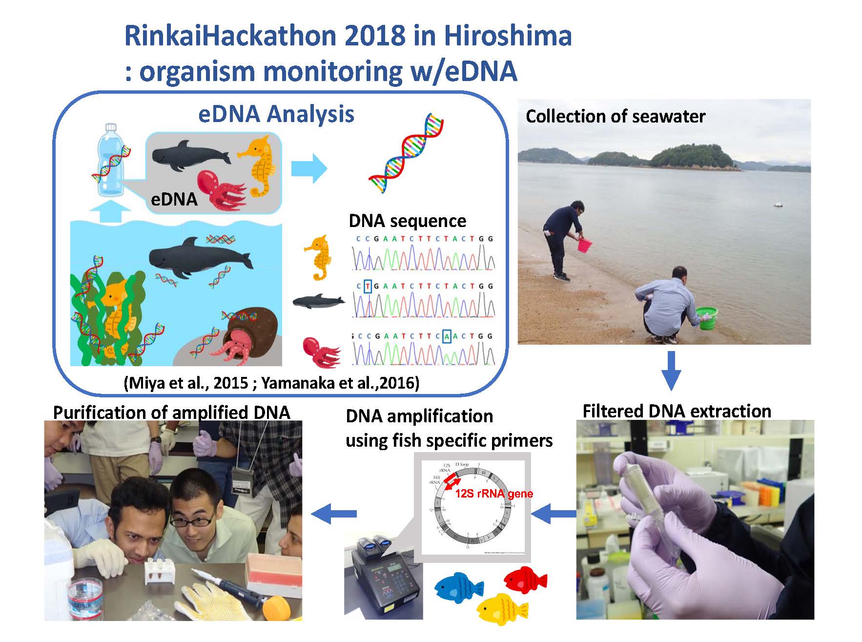Rinkai Hackathon information page 7