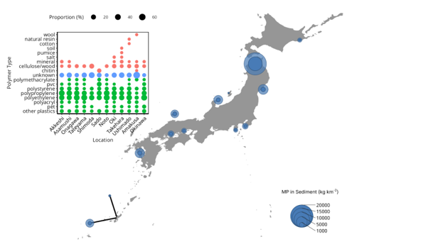 堆積物の結果：マイクロプラスチック濃度と場所毎のマイクロプラスチックのポリマーの割合
