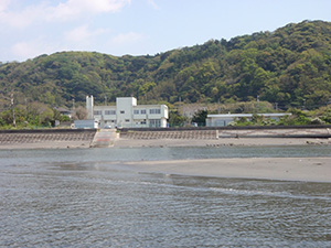 お茶の水女子大学湾岸生物教育研究所